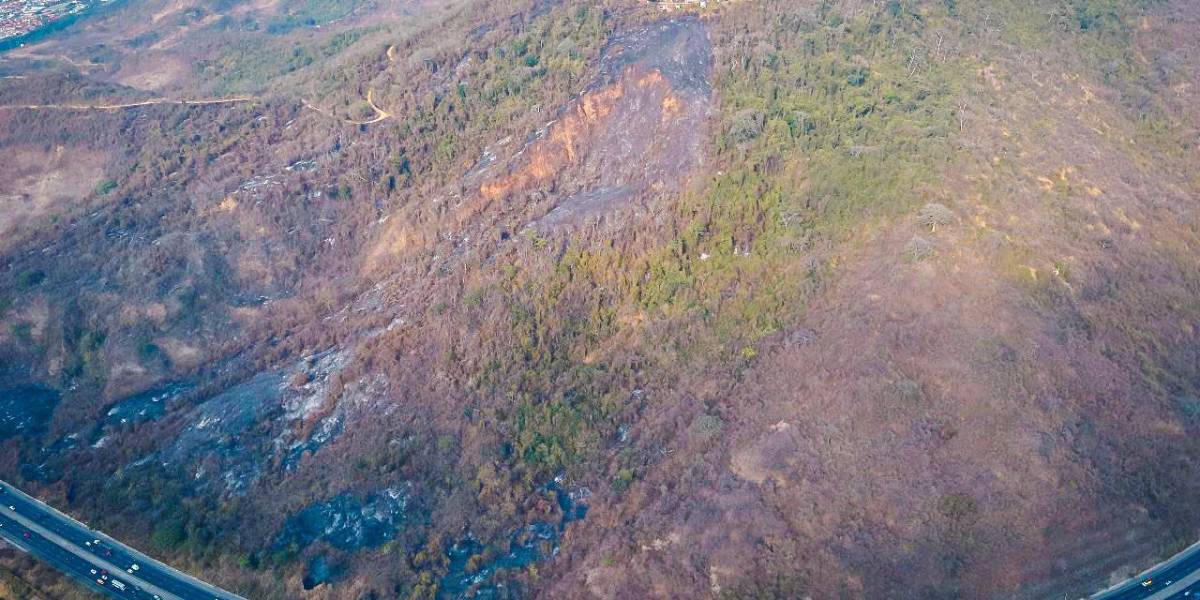 Incendio forestal en Guayaquil: Aún hay focos activos en Cerro Azul