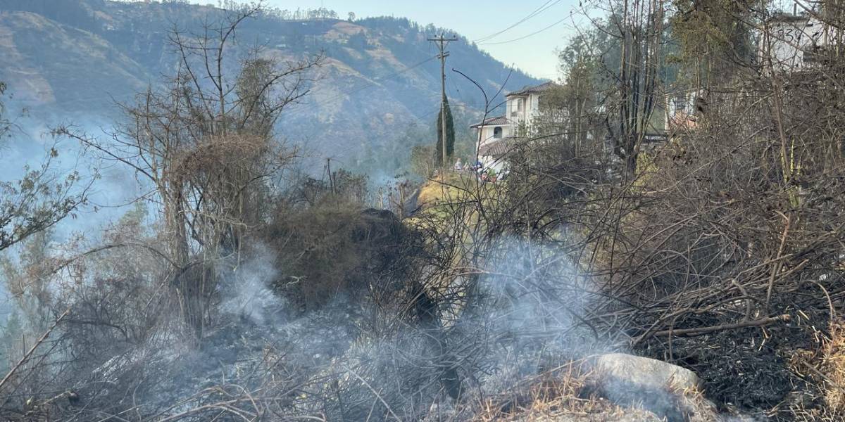 Incendio forestal en Quito: los peligros que persisten tras la emergencia y cómo proteger tu salud