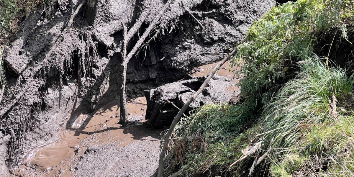Tres ocupantes de un carro están desaparecidos tras ser arrastrados por un aluvión en Guamote, Chimborazo
