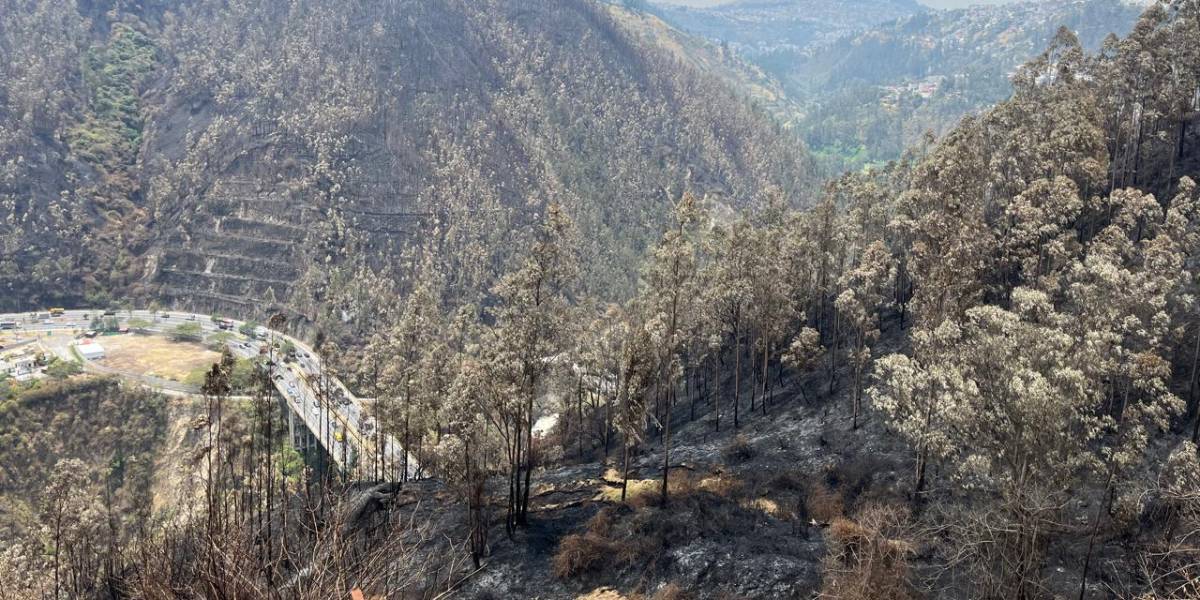 Quito: un tramo de la avenida Simón Bolívar se cierra durante tres días por trabajos de limpieza