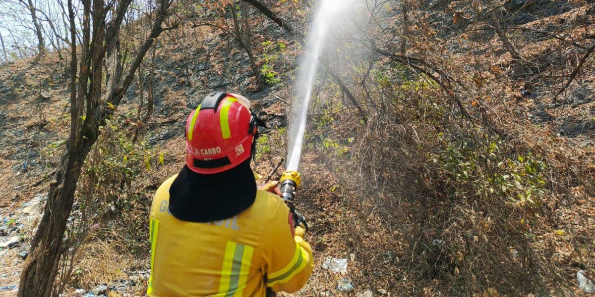 Incendio forestal en Guayaquil causa la suspensión de energía en vía a la Costa