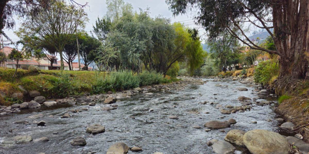 Los caudales de los cuatro ríos de Cuenca se recuperan tras 79 días de sequía