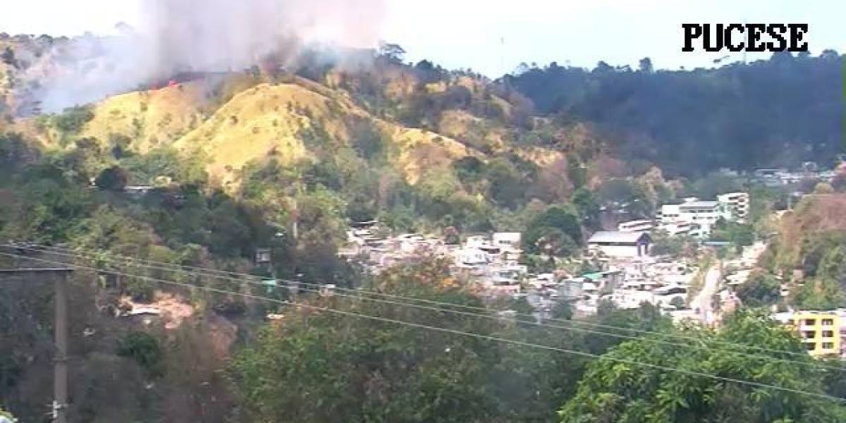 Ecuador: estos son los incendios forestales que se reportan este 17 de octubre