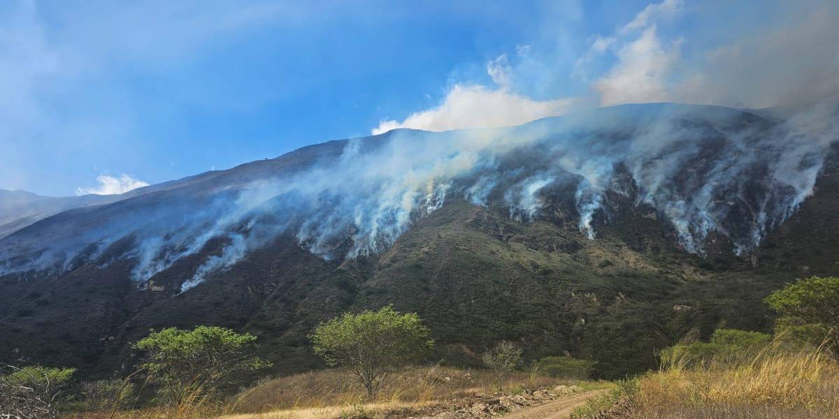 320 hectáreas de vegetación destruidas por incendio forestal en Azuay