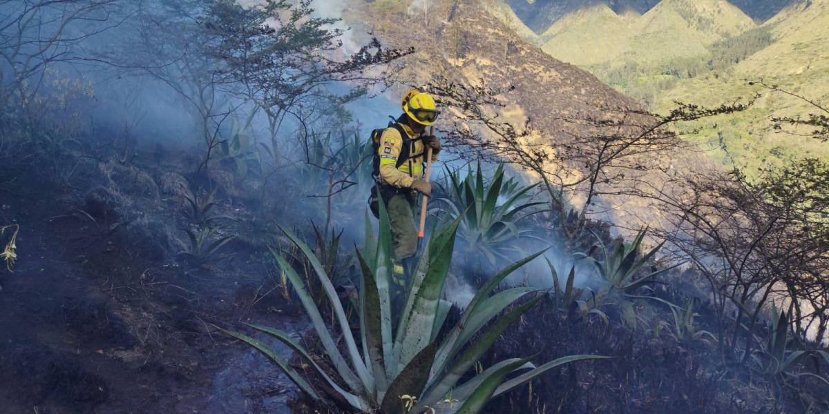 Quito | El Cuerpo de Bomberos alerta sobre un incendio en el Ilaló