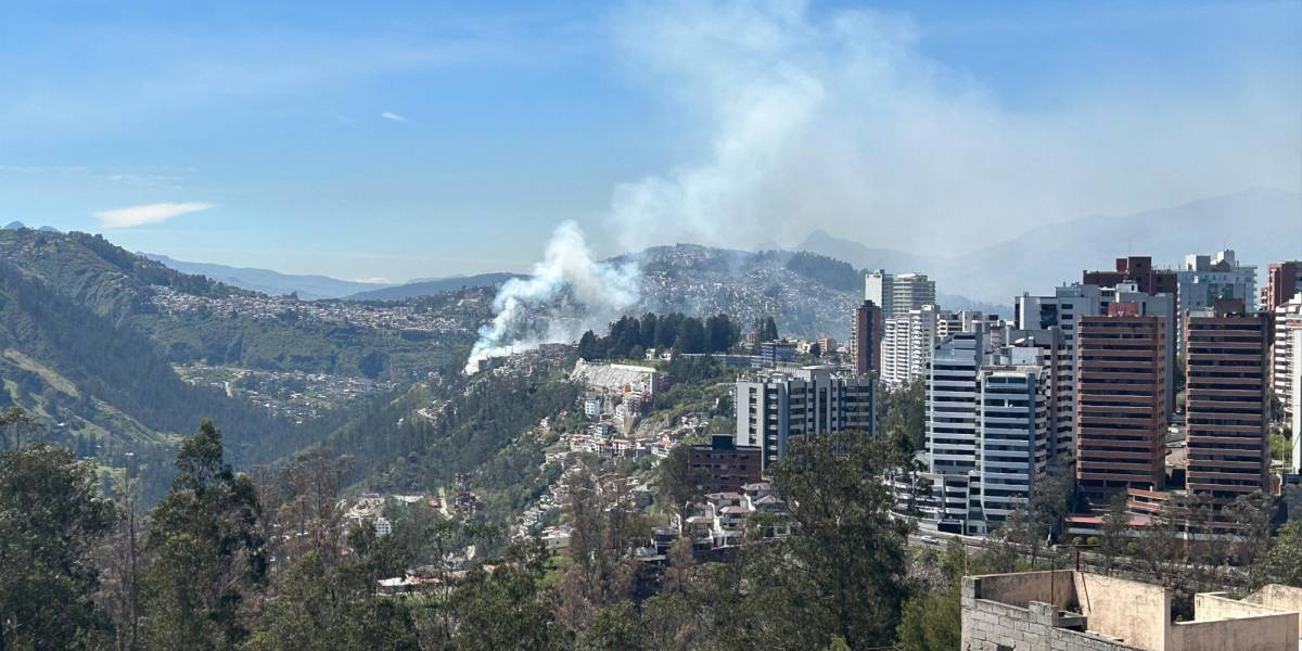 Quito: el incendio forestal de Guápulo está controlado