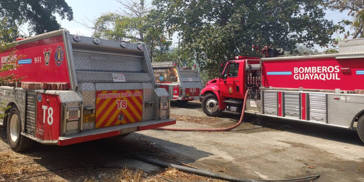 En menos de 24 horas, los bomberos de Guayaquil fueron asaltados tres veces