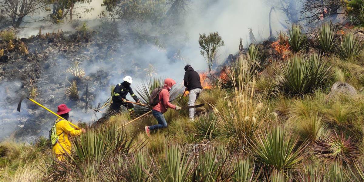 Ecuador declara la emergencia nacional por incendios forestales y sequía