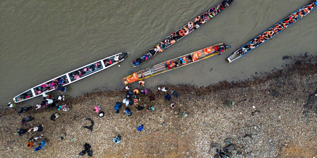 En 2024, 180 niños quedaron abandonados mientras cruzaban la selva del Darién; entre ellos hay ecuatorianos