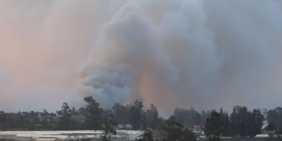 Quito | Casas de salud están atentas ante posibles heridos por incendios forestales