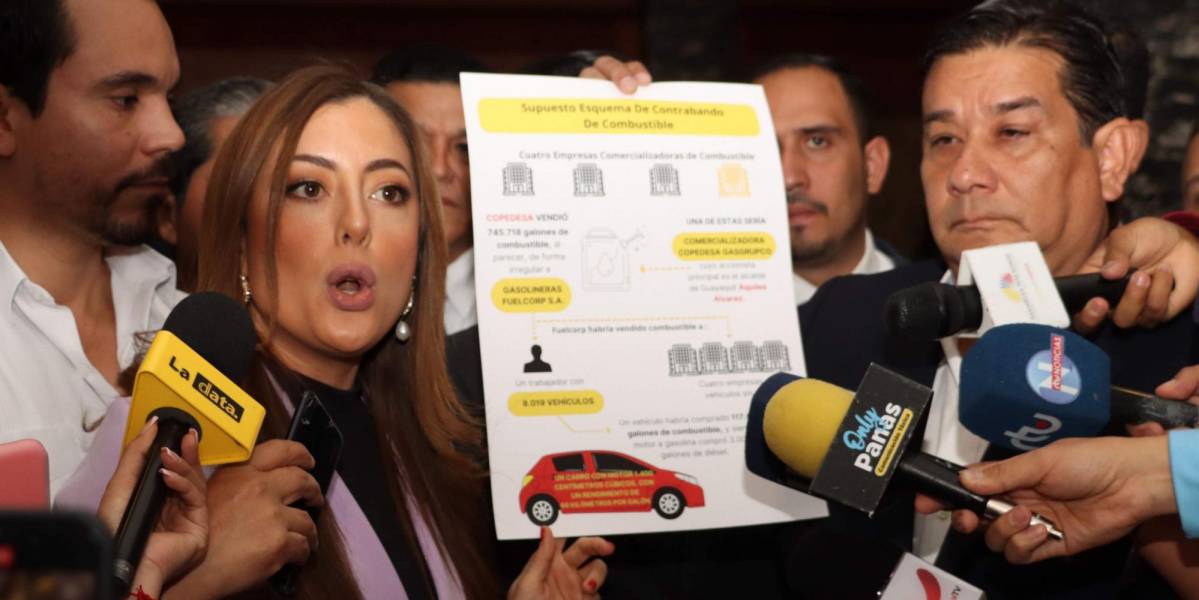 La asambleísta Lucía Jaramillo fungió este martes 16 de julio como vocera del Frente Parlamentario contra el Tráfico Ilegal de Combustible y sus Derivados.