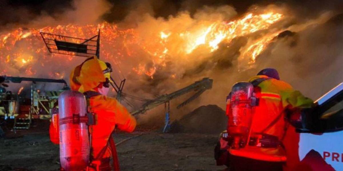 Incendios forestales en Mejía y Quito este domingo 8 de septiembre