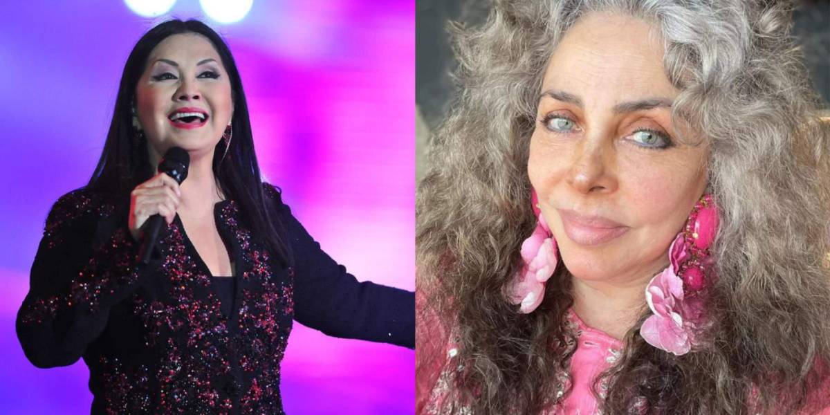 Ana Gabriel confiesa por primera vez si escribió la canción Simplemente amigos para Verónica Castro