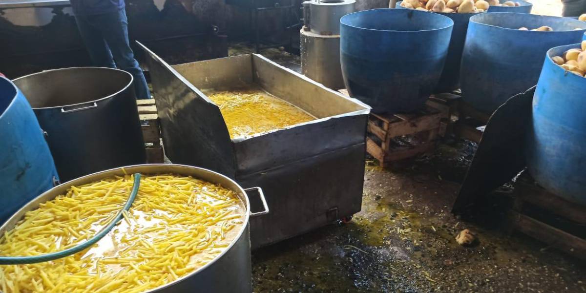 Una planta de papas fritas en Cuenca fue clausurada por condiciones insalubres