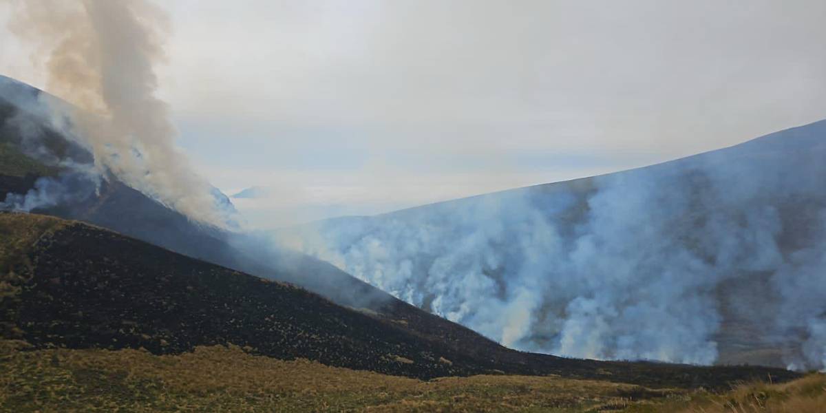 Un incendio forestal se registra en las inmediaciones de la reserva ecológica de Los Ilinizas