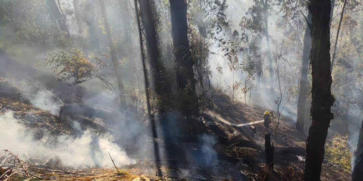 La alerta ante posibles incendios sigue activa ante las altas temperaturas y vientos de hasta 60 km