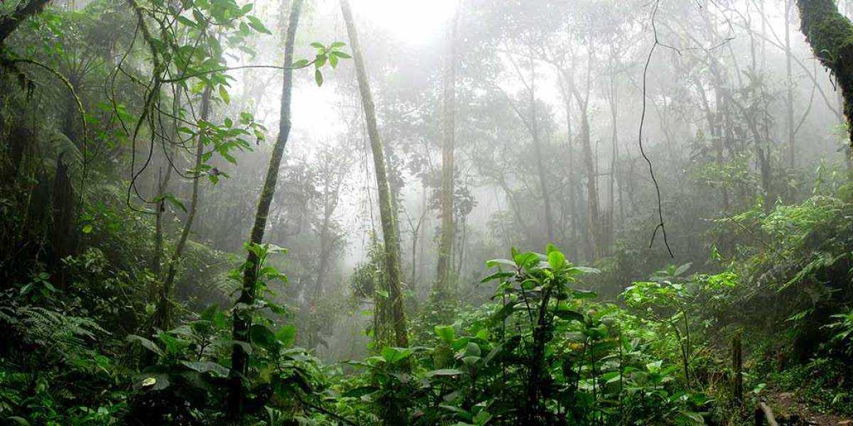 El Inamhi pronostica lluvias en la zona donde se ubica la central hidroeléctrica Coca Codo Sinclair