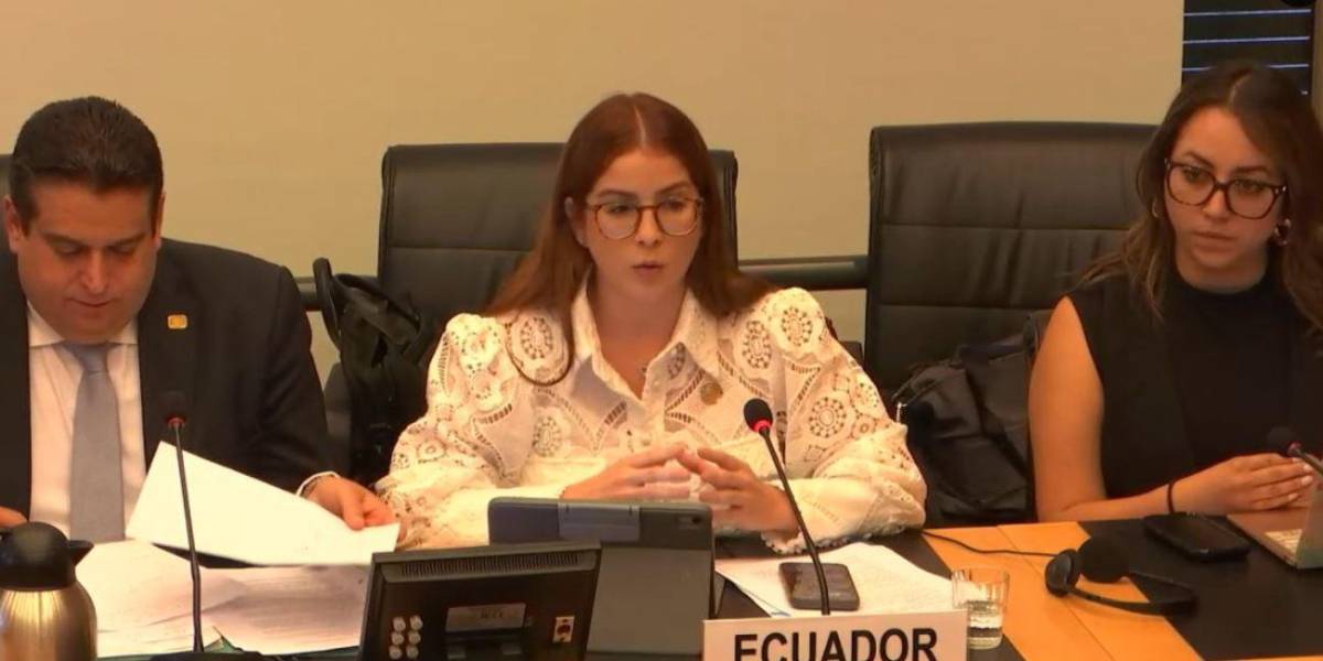 Las medidas de excepción en Ecuador son examinadas por el Comité Derechos Humanos de ONU