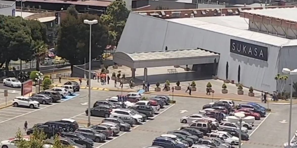 Un intento fallido de robo alarmó a visitantes del centro comercial El Bosque, en Quito