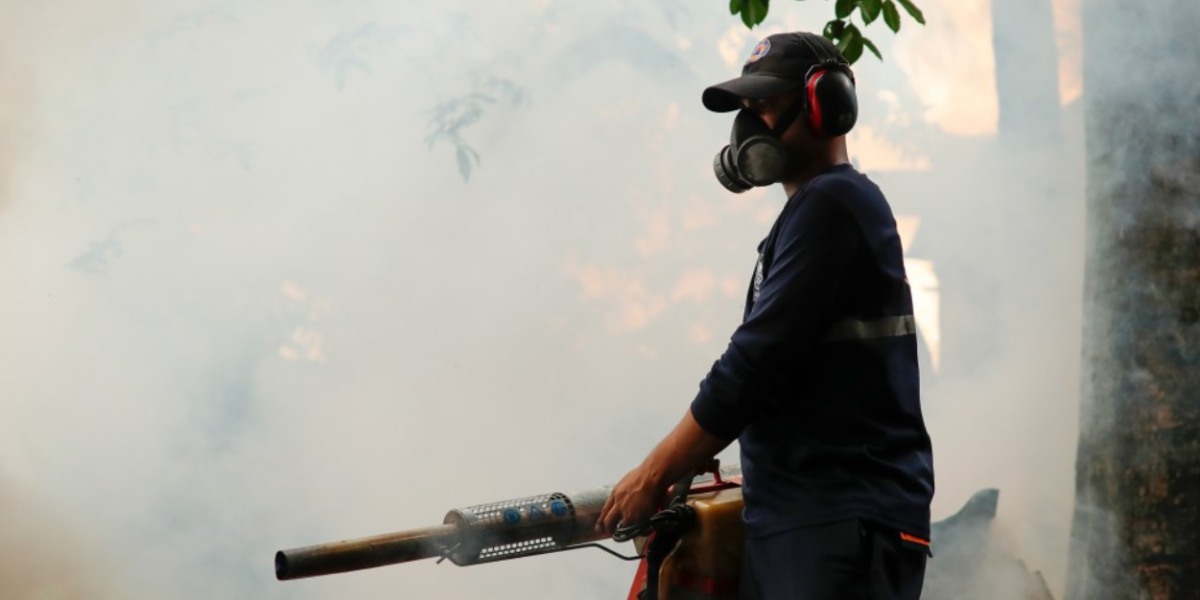 La OMS considera alto el riesgo sanitario por brotes de oropouche en países de América