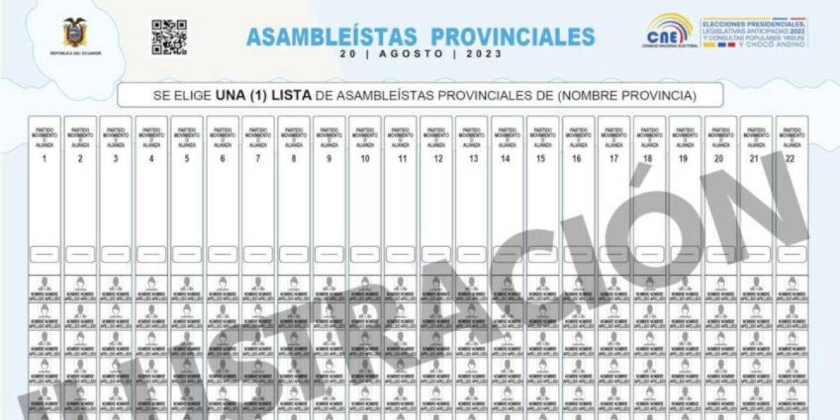 Elecciones Ecuador 2023: la votación por asambleístas es por lista y se aplica el método de Webster