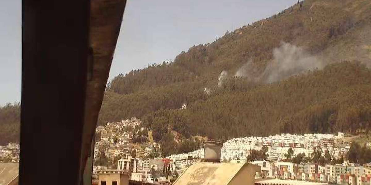 Quito: el incendio forestal en Cochapamba fue controlado