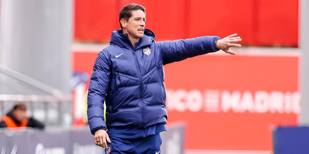 Fernando Torres podría reemplazar a Diego Simeone