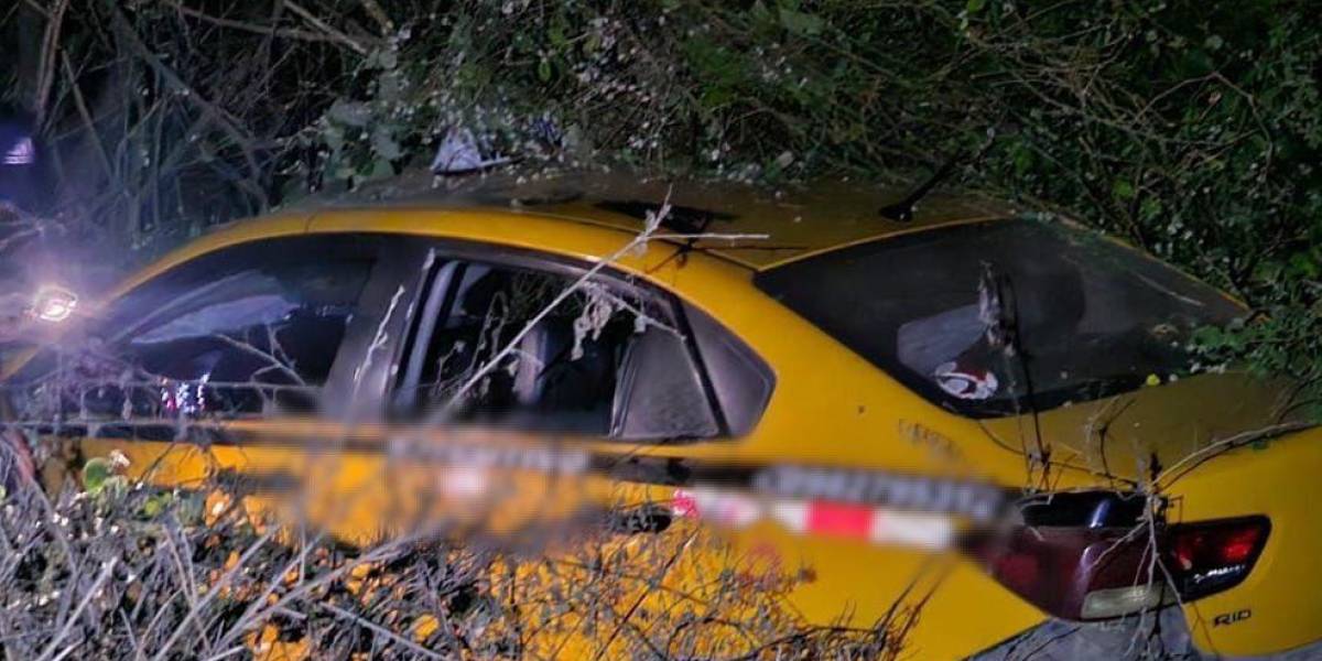 Un presunto delincuente intentó atacar a policías y fue abatido en Santa Elena