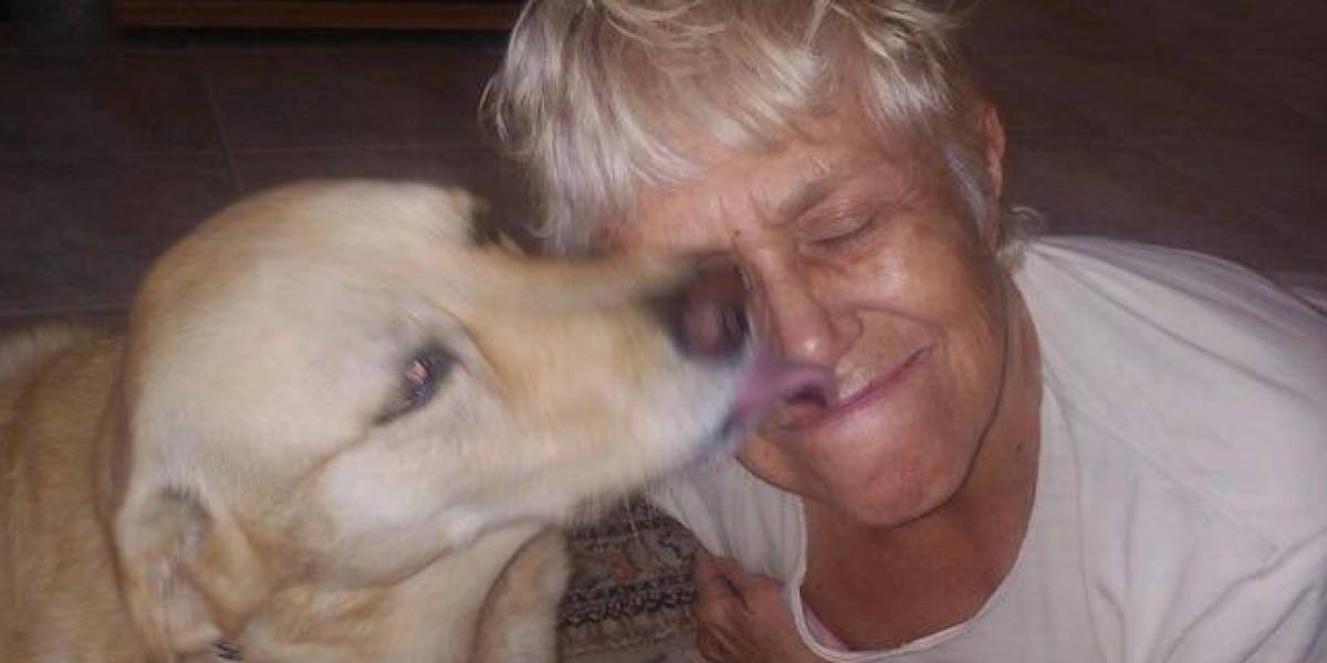 Mujer de 74 años salva a su perro arrojándose sobre un caimán de 1,80 metros