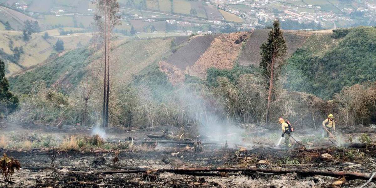 Incendios forestales consumen vegetación en siete provincias