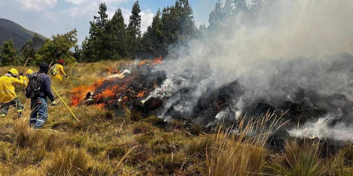 Los incendios forestales en el Parque Nacional Cajas, en Cuenca, dejan más de 5 000 hectáreas devastadas