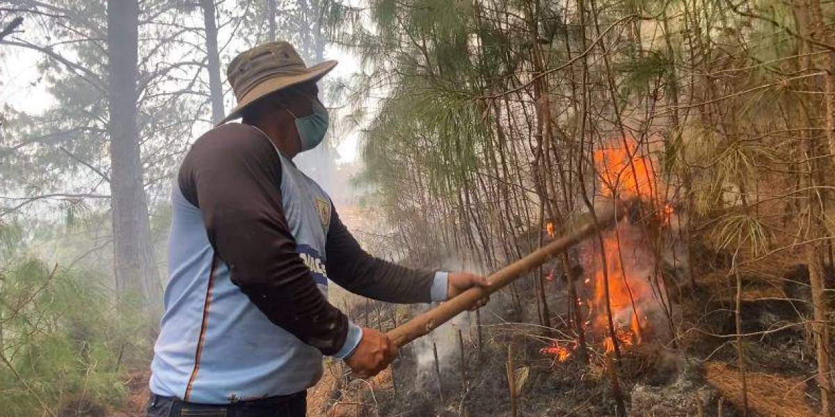 Un incendio forestal devastador arrasa con animales en Loja