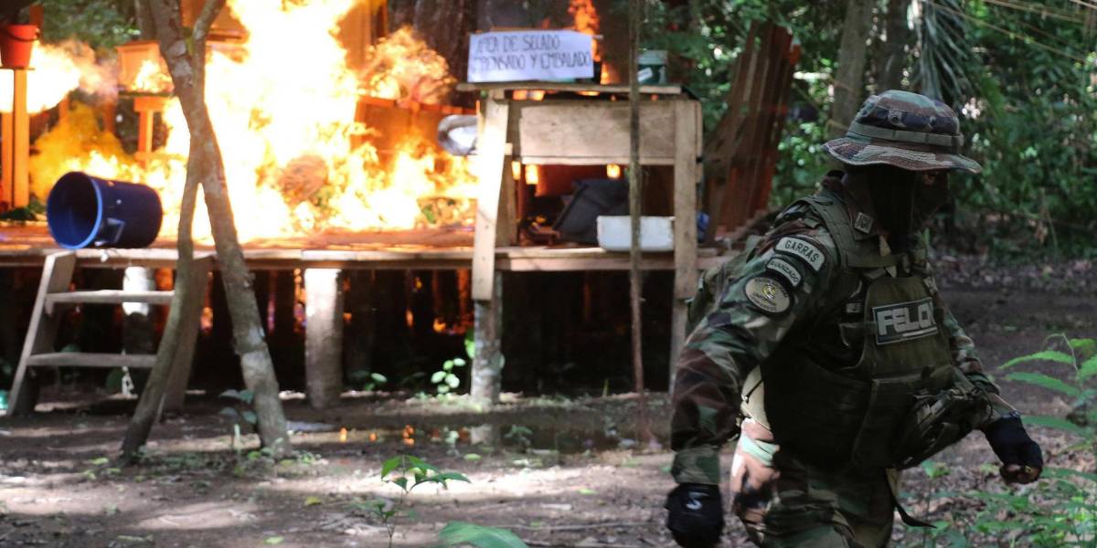 Bolivia: Fuerza antidrogas destruye un mega laboratorio de cocaína