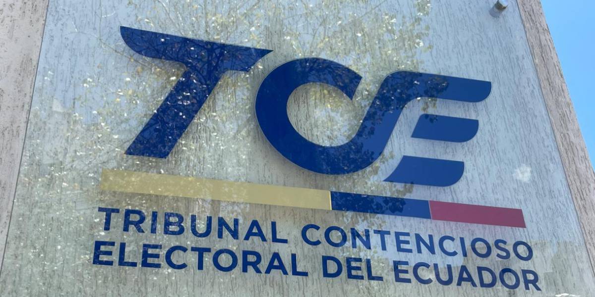 Elecciones Ecuador 2025: Avanza, Democracia Sí y Pachakutik sin candidatos a asambleístas nacionales