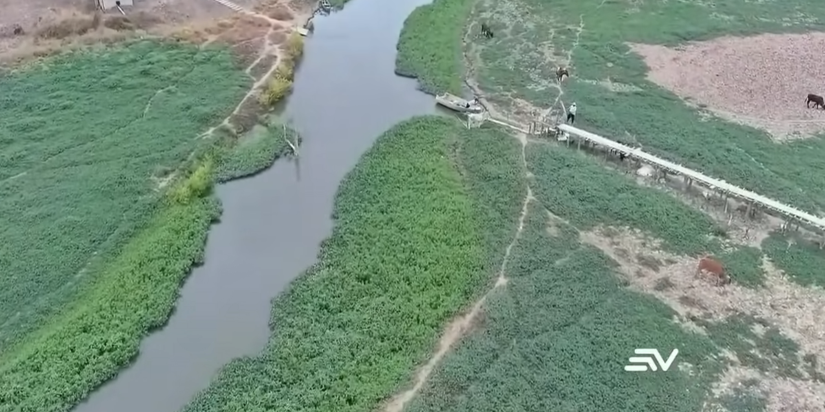 Cinco cadáveres fueron hallados este domingo en laguna de Vía a la Costa, en Guayaquil