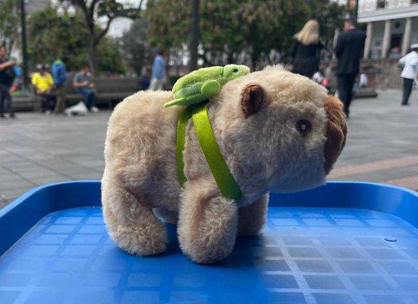 En la Plaza Grande se comercializaban capibaras que se mueven con pilas.