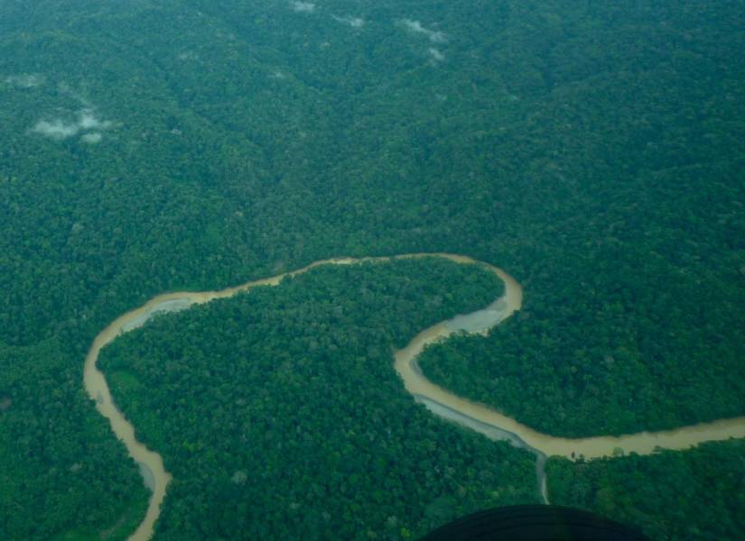 Vista aérea de la Amazonía ecuatoriana.