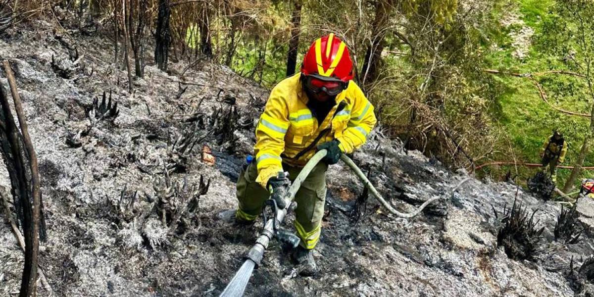 Bomberos luchan contra tres incendios forestales en Cuenca