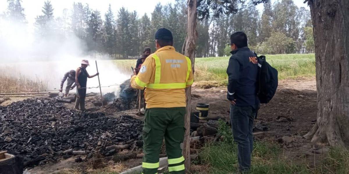 Quito: a una mujer le abrieron un proceso de sanción por quema de troncos de madera para producir y vender carbón