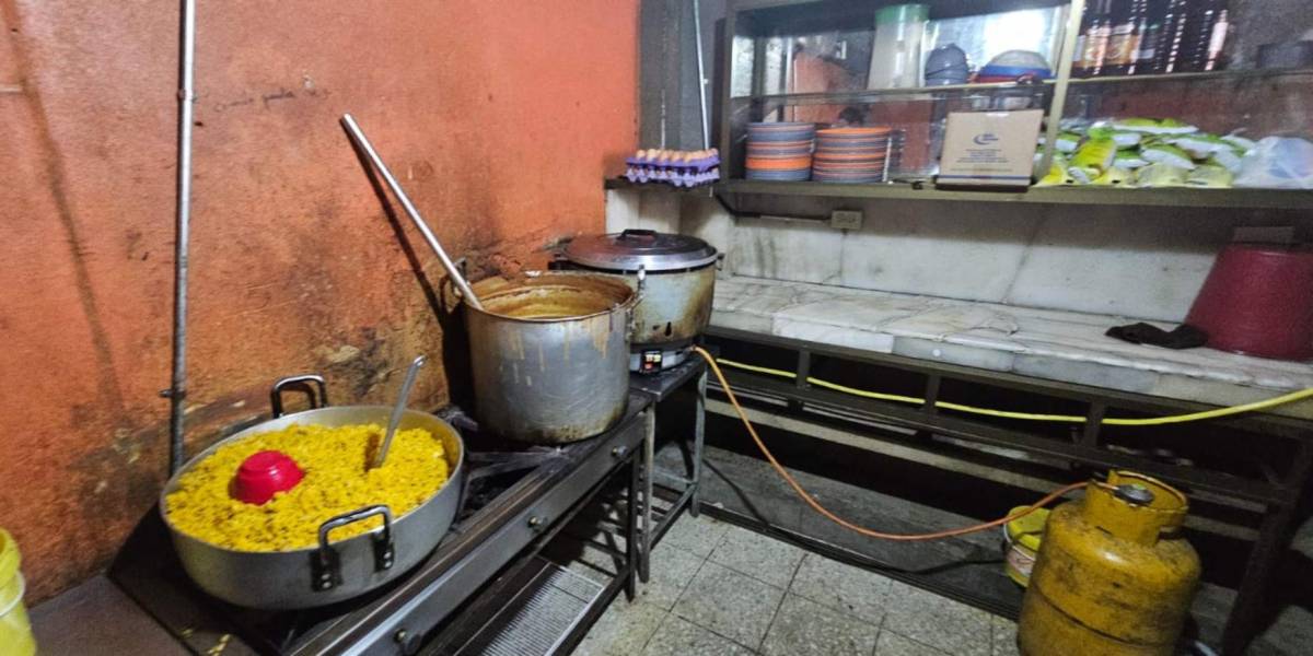 Guayaquil | Un restaurante donde venden moros y carnes asadas es clausurado por presencia de plagas