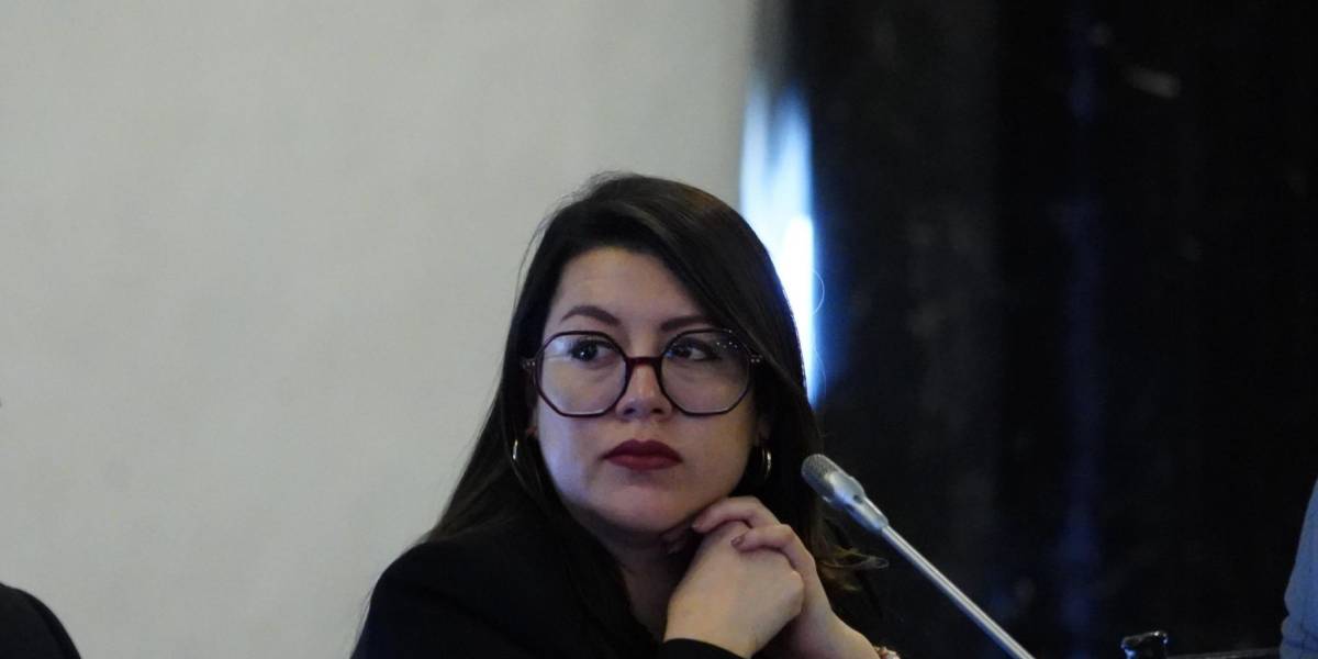 Andrea Arrobo, exministra de Energía, envió un escrito a Fiscalización en el que asegura que el Gobierno conocía sobre la crisis energética