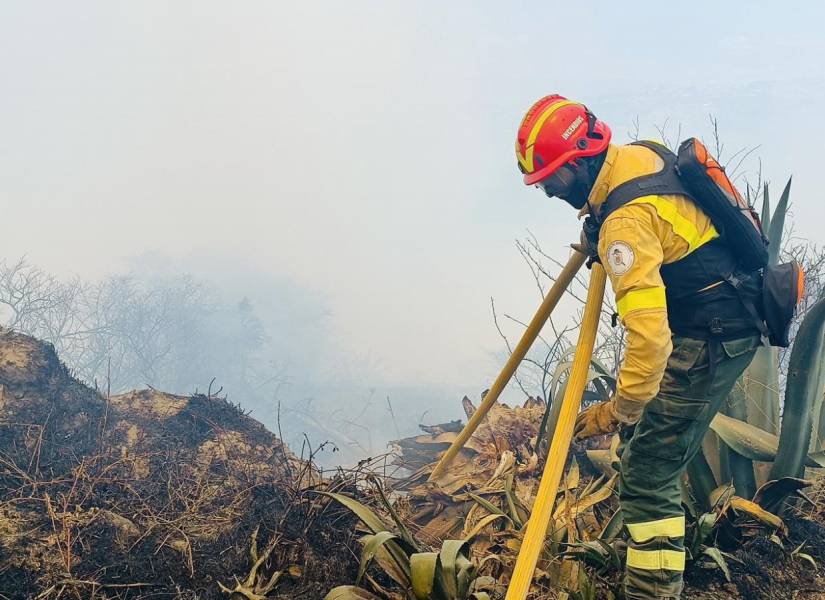 Un bombero en la zona del incendio forestal.