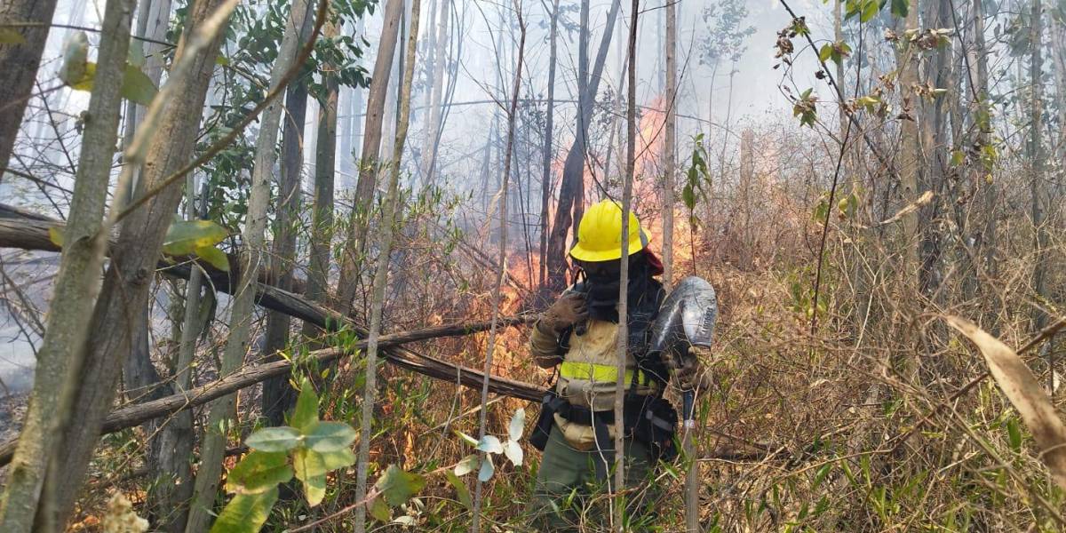 Dos incendios forestales se mantienen activos en Ecuador