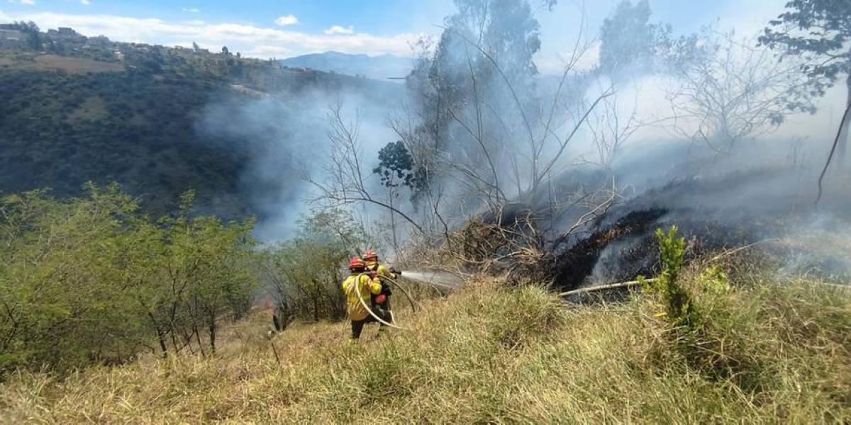 Quito lanza una campaña contra los incendios forestales, que afectaron 325,64 hectáreas en el 2024