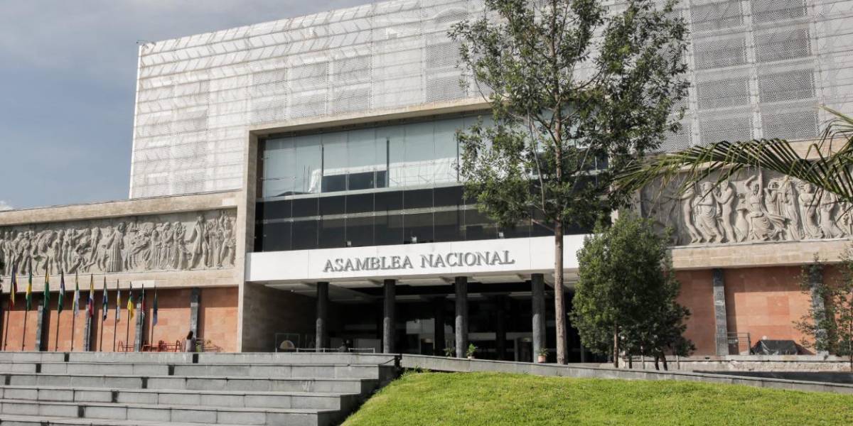 Asamblea: el correísmo busca que Abad ocupe la Presidencia si Noboa participa en las elecciones 2025