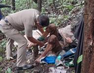 Imagen referencial de rescate de mujer encadenada a un árbol en el bosque durante 40 días.