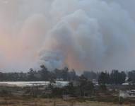 Incendio forestal en Pifo este miércoles 4 de septiembre.