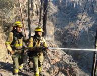 Los bomberos trabajan intensamente para sofocar los incendios forestales.