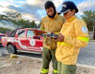 Los bomberos sobrevuelan con drones en las zonas donde se produjeron los incendios.