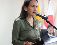 Inés Manzano confirma que Colombia no reanudará la venta de energía a Ecuador